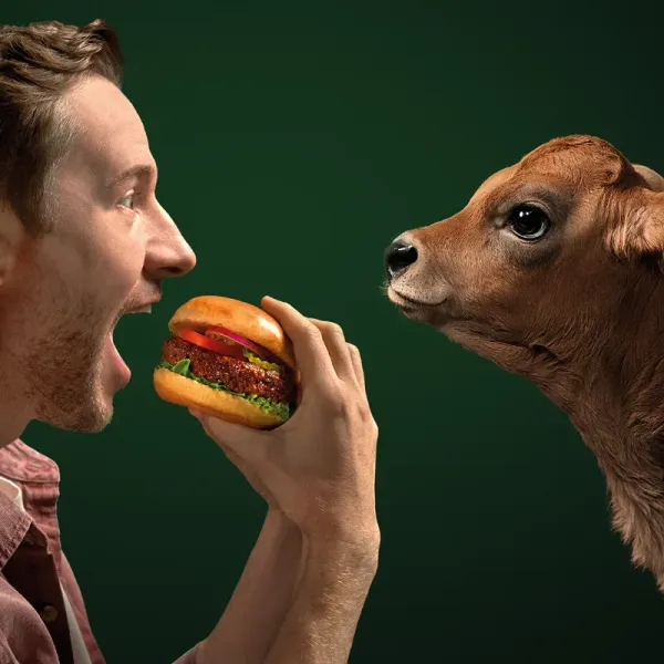 Social Ad von Beyond Meat im Format 1:1 aus der Kampagne All Taste No Worries: ein Mann beißt in einen Beyond Burger, ihm gegenüber steht ein Kalb